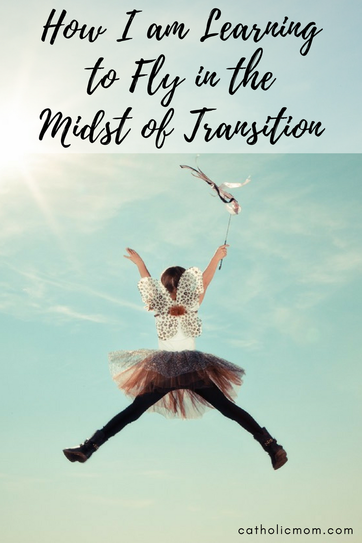How I am Learning to Fly in the Midst of Transition | sarahdamm.com