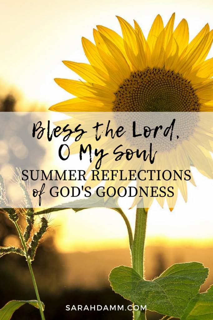 Bless the Lord, O My Soul: Summer Reflections of God's Goodness | sarahdamm.com