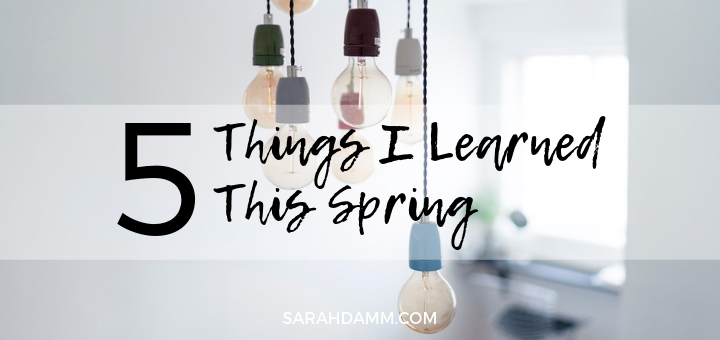 What I Learned This Spring | sarahdamm.com