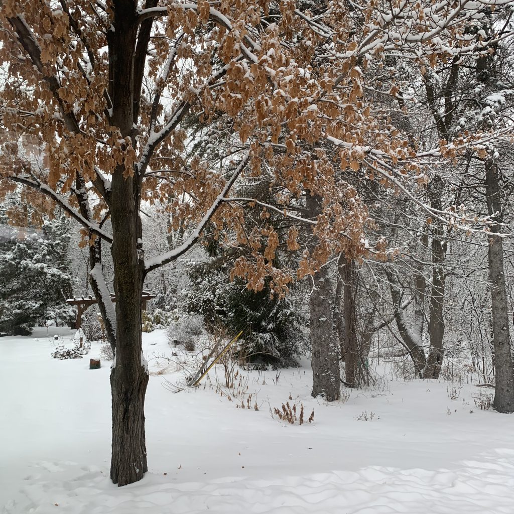 What I Learned This Winter | sarahdamm.com