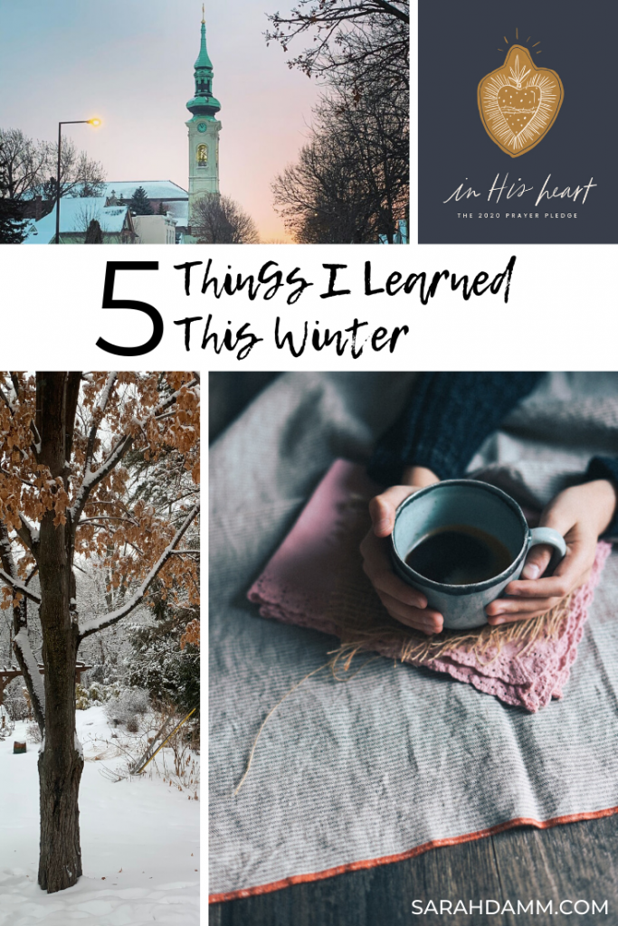 What I Learned This Winter | sarahdamm.com