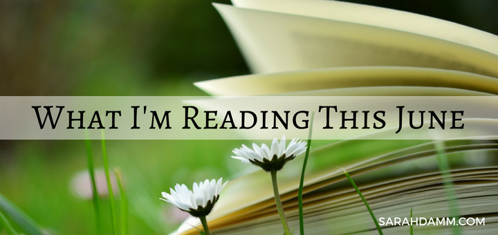 An Open Book: What I'm Reading This June | sarahdamm.com