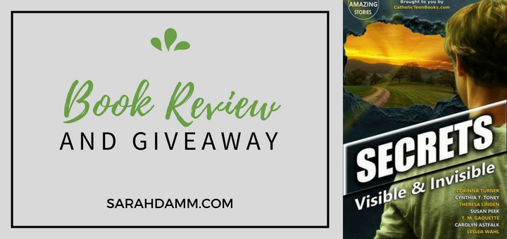"Secrets" Blog Tour Stops Here (and a Giveaway!) | sarahdamm.com