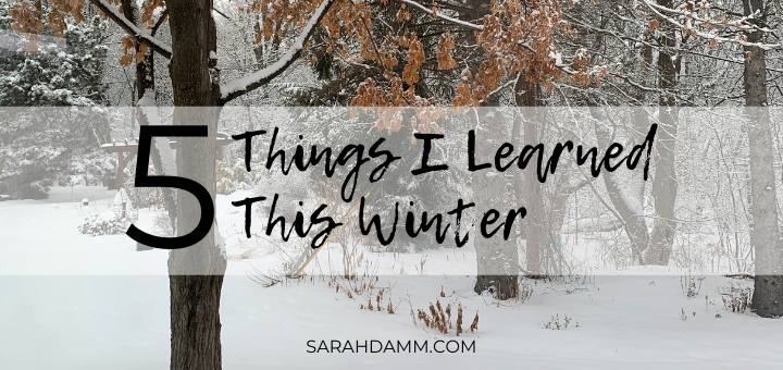 What I Learned This Winter | sarahdamm.com