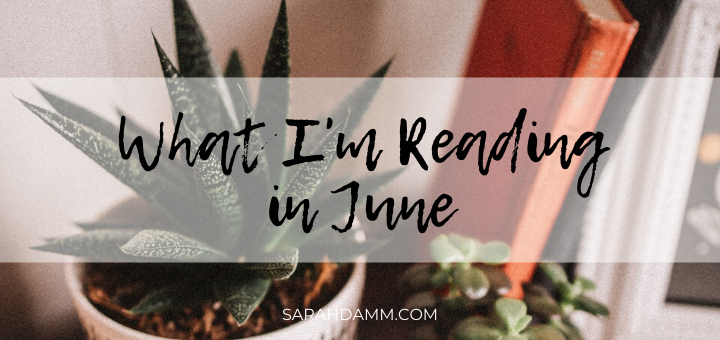 An Open Book: What I'm Reading in June | sarahdamm.com