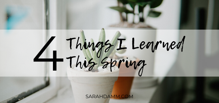 What I Learned This Spring | sarahdamm.com