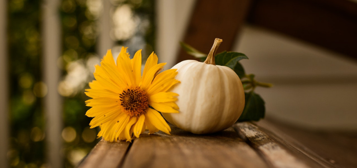 BOOKS Welcome Home: How to Create a Cozy Space for Your Family This Fall | sarahdamm.com